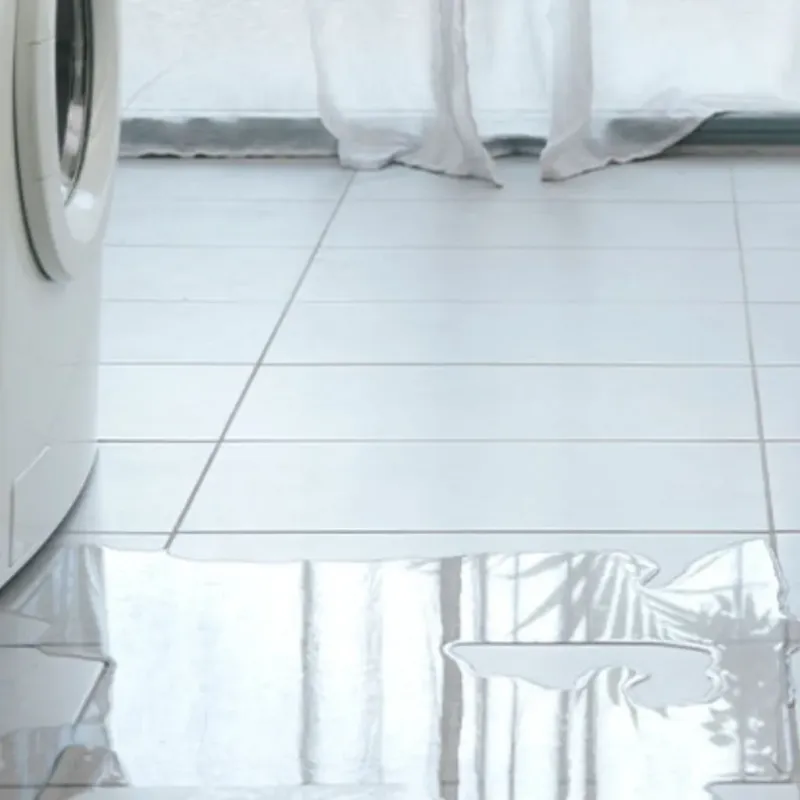 Appliance Leak Cleanup in Delaware County, IN
