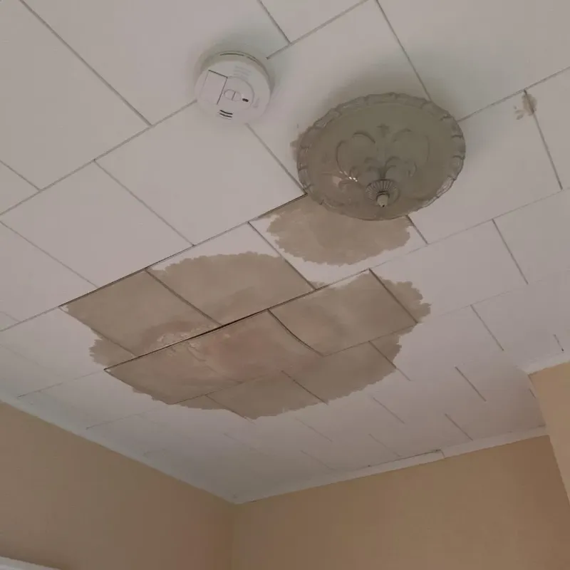 Ceiling Water Damage Repair in Delaware County, IN