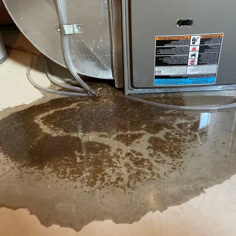 Pipe Burst and Leak Restoration in Delaware County, IN