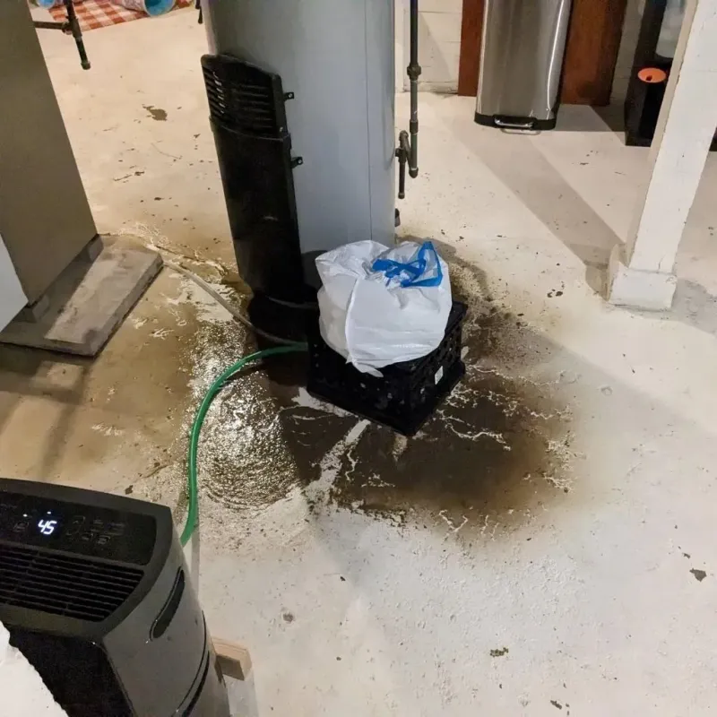 Sewage Backup Cleanup Service in Delaware County, IN
